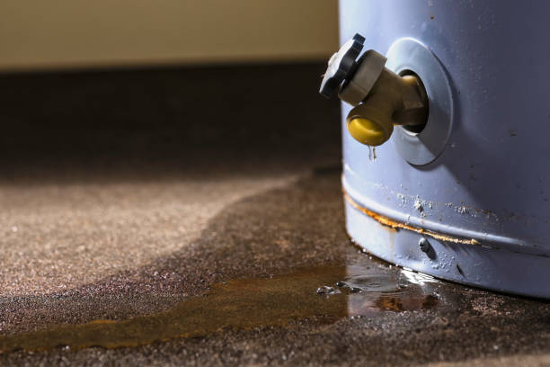 Water damage restoration experts in TX