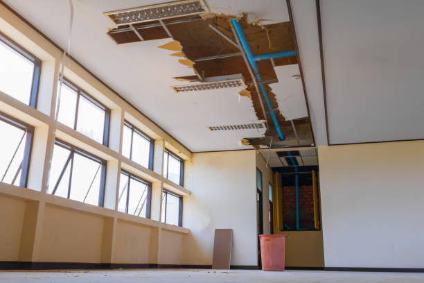 Best Basement water damage restoration  in Texas City, TX