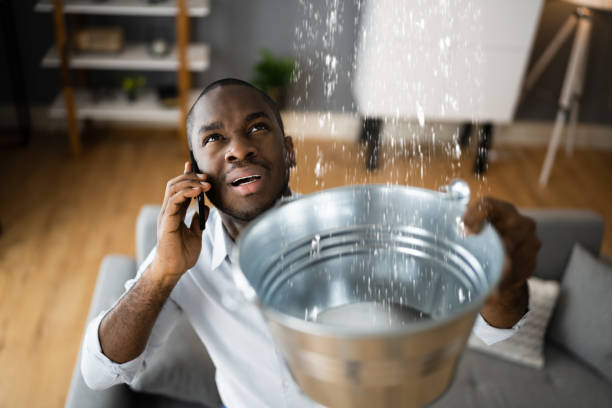 Best Flooded house restoration  in Texas City, TX