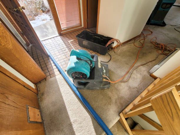 Best Commercial water damage restoration  in Texas City, TX
