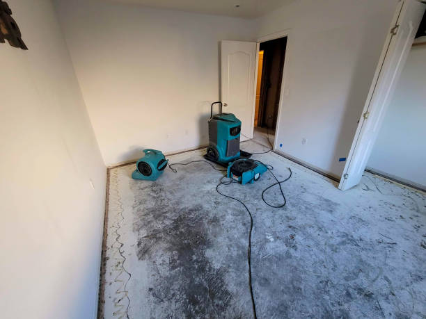 Best Water damage restoration near me  in Texas City, TX