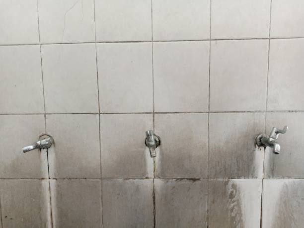 Best 24-hour water damage restoration  in Texas City, TX