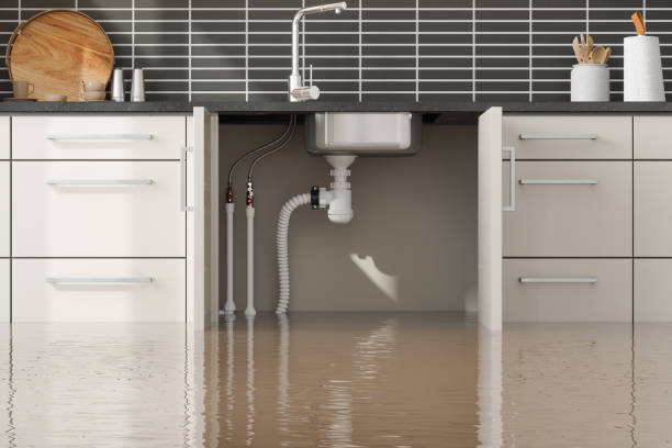 Best Flooded house restoration  in Texas City, TX