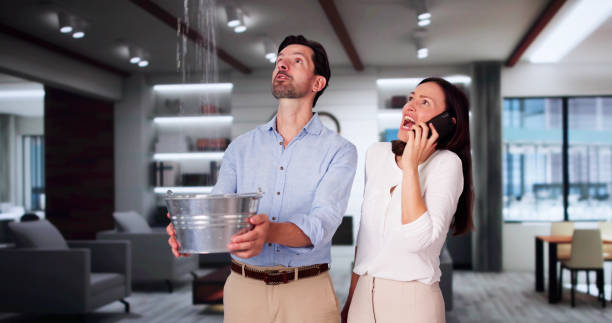 Best Fire Damage Restoration  in Texas City, TX