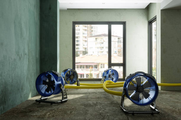 Best 24-hour water damage restoration  in Texas City, TX
