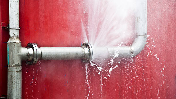 Best Water damage cleanup near me  in Texas City, TX
